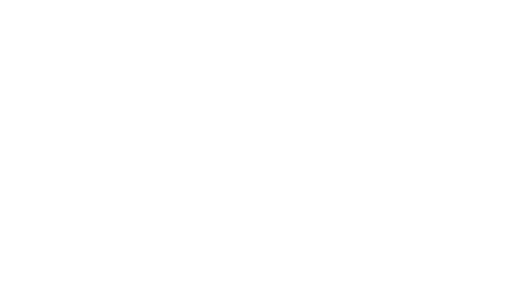 AMI IA